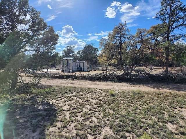16 Acres of Recreational & Residential Land for Sale in Quemado, New Mexico