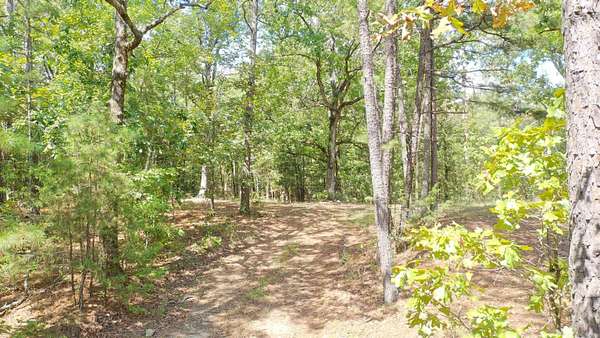 5 Acres of Residential Land for Sale in Mena, Arkansas