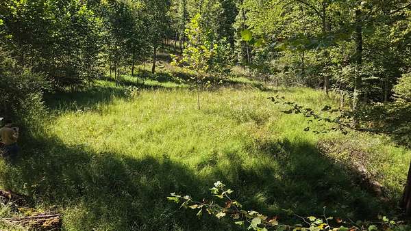 107 Acres of Recreational Land for Sale in Glenville, West Virginia