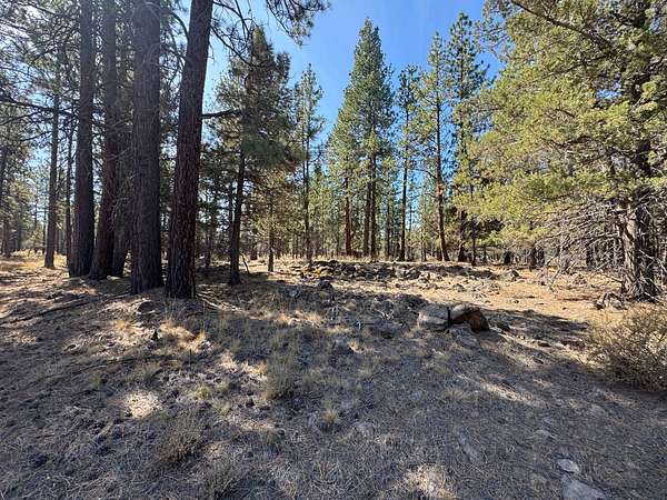 40 Acres of Land for Sale in Macdoel, California