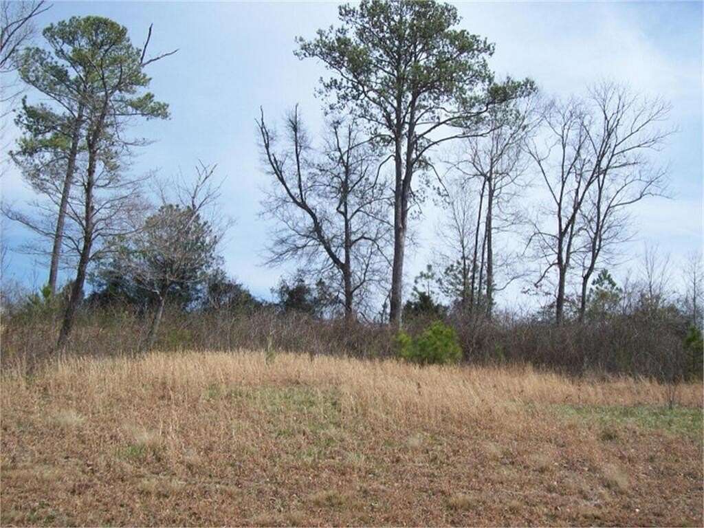 0.82 Acres of Land for Sale in Chatsworth, Georgia