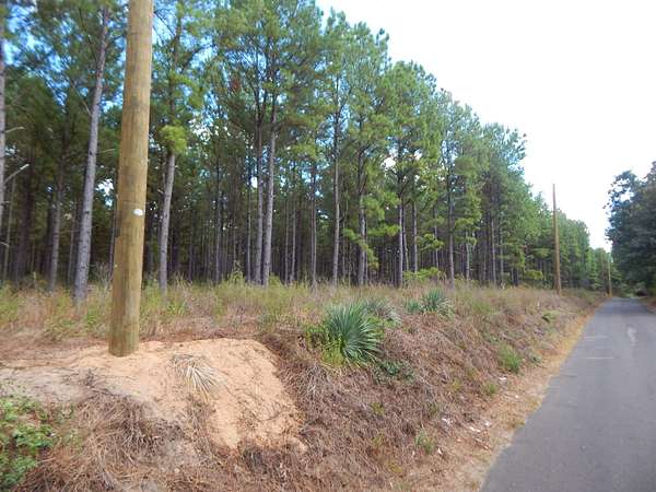 10 Acres of Land for Sale in Big Sandy, Texas