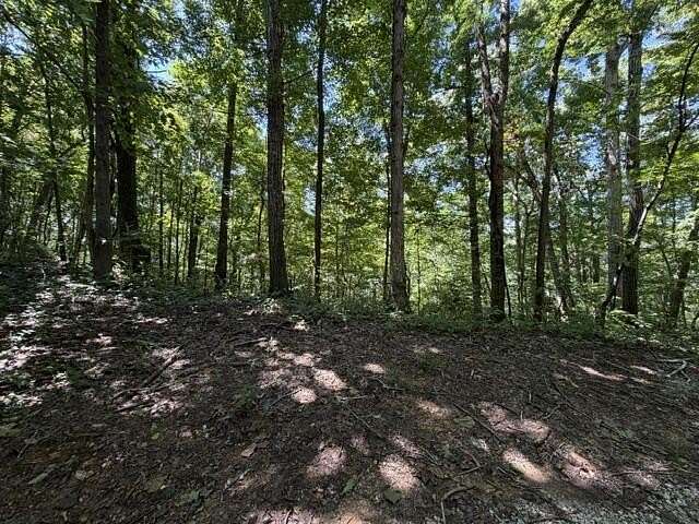 16.3 Acres of Land for Sale in Celina, Tennessee
