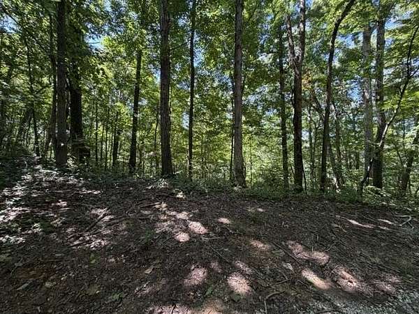 16.3 Acres of Land for Sale in Celina, Tennessee