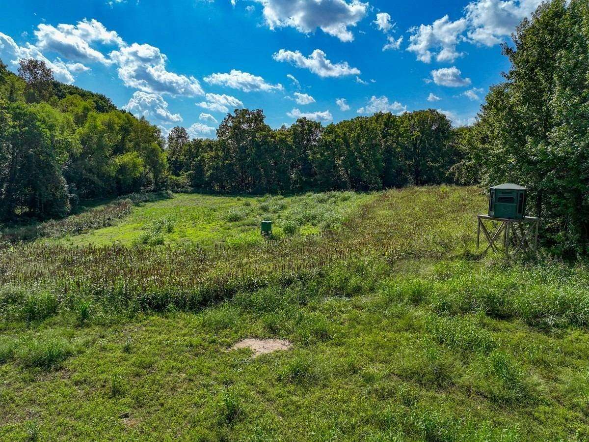 106 Acres of Land for Sale in Bardwell, Kentucky