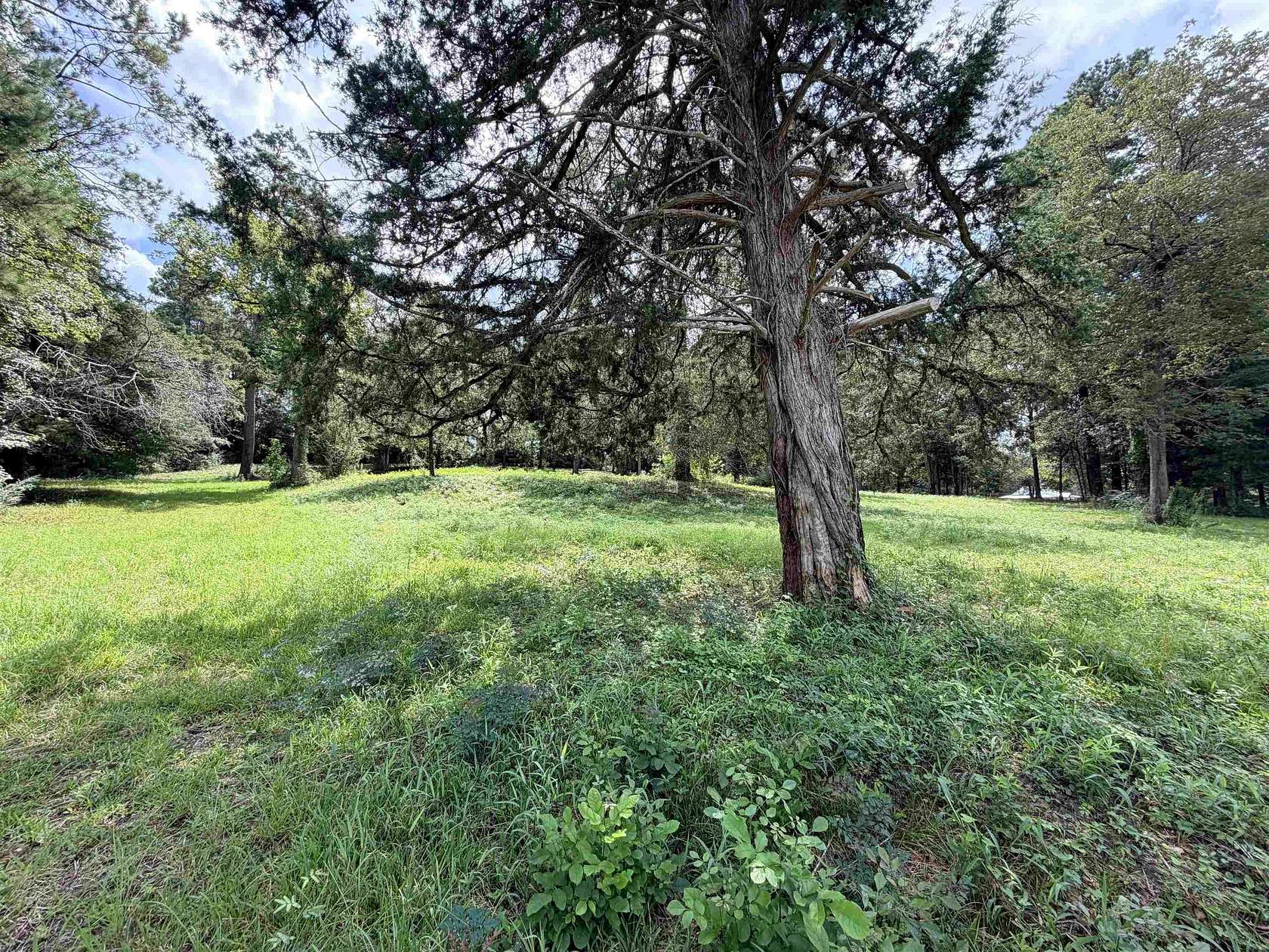 2 Acres of Residential Land for Sale in Woodville, Texas