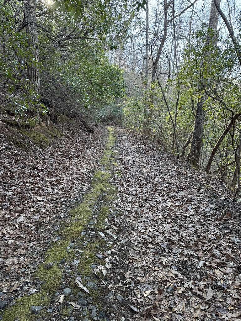 3.66 Acres of Residential Land for Sale in Cullowhee, North Carolina