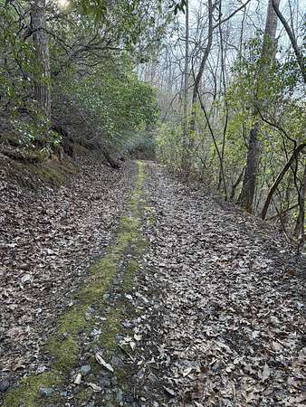 3.66 Acres of Residential Land for Sale in Cullowhee, North Carolina