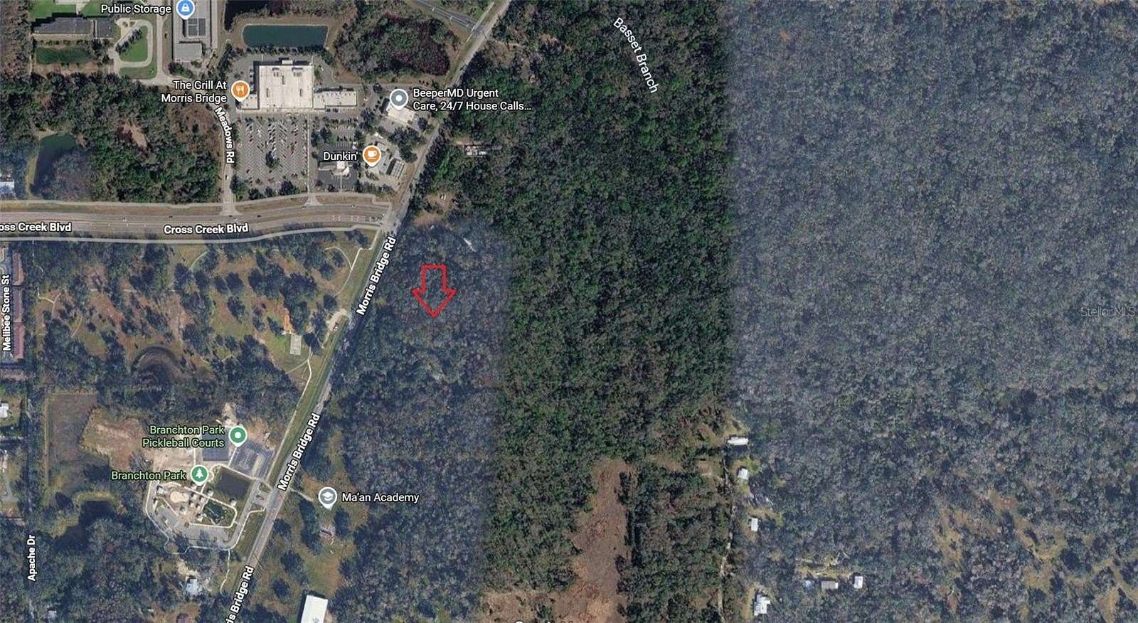 10.5 Acres of Land for Sale in Thonotosassa, Florida