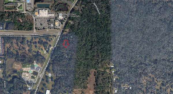 10.5 Acres of Land for Sale in Thonotosassa, Florida