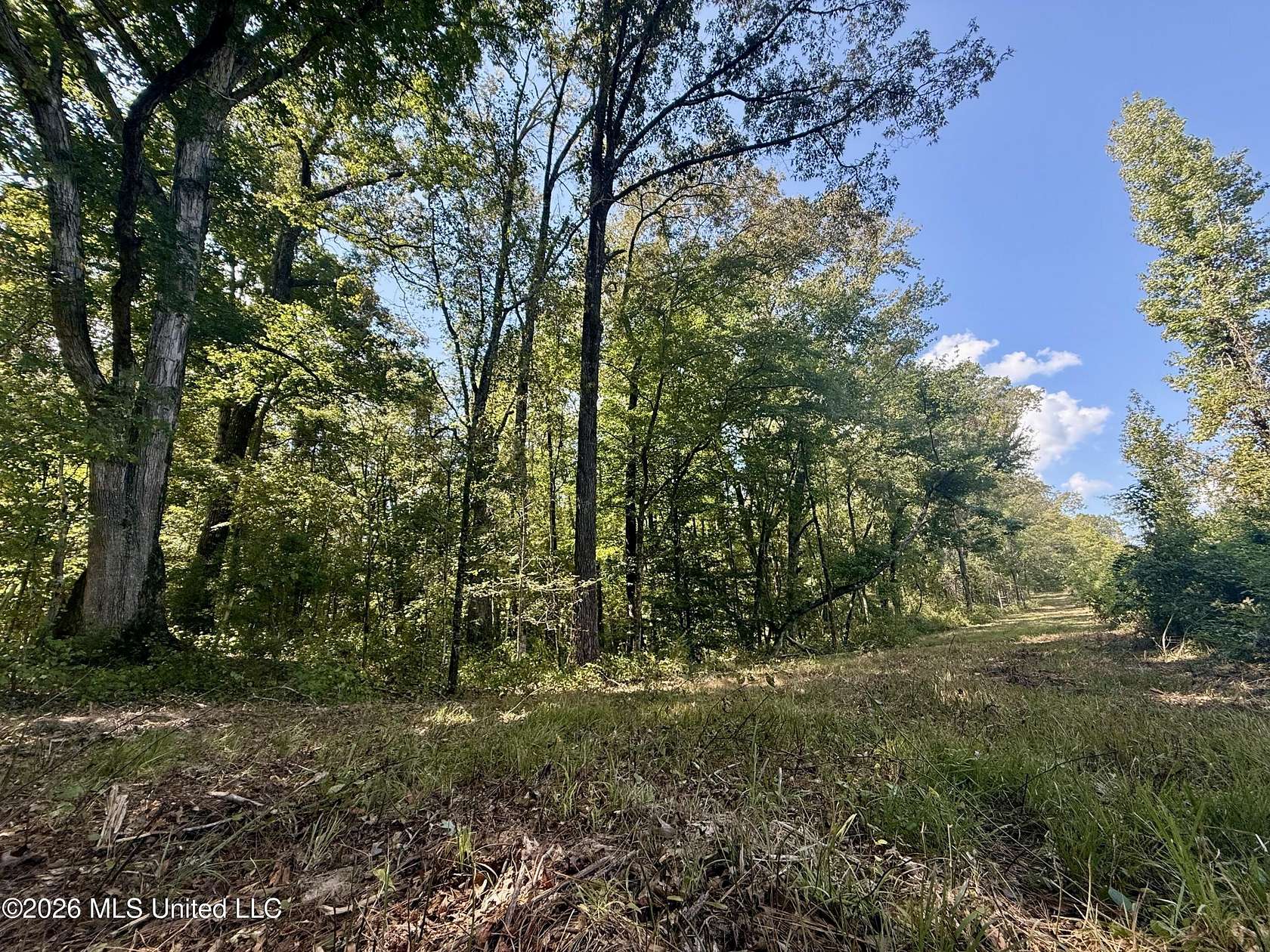 30 Acres of Recreational & Residential Land for Sale in Camden, Mississippi