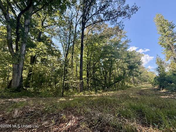 30 Acres of Recreational & Residential Land for Sale in Camden, Mississippi
