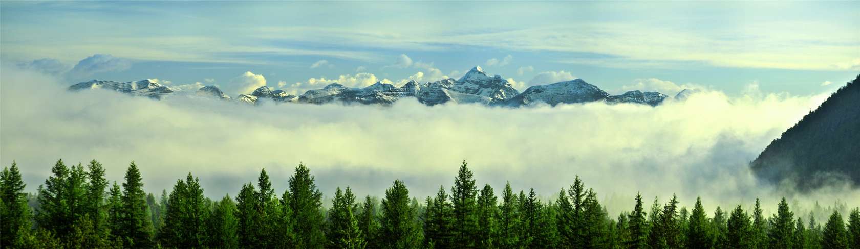 98 Acres of Land for Sale in West Glacier, Montana