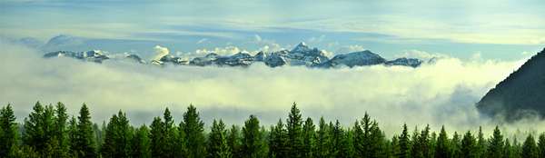 98 Acres of Land for Sale in West Glacier, Montana