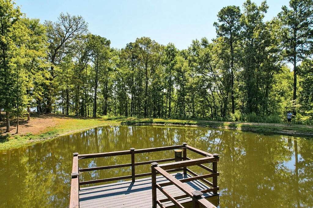 14 Acres of Recreational & Residential Land for Sale in Etoile, Texas