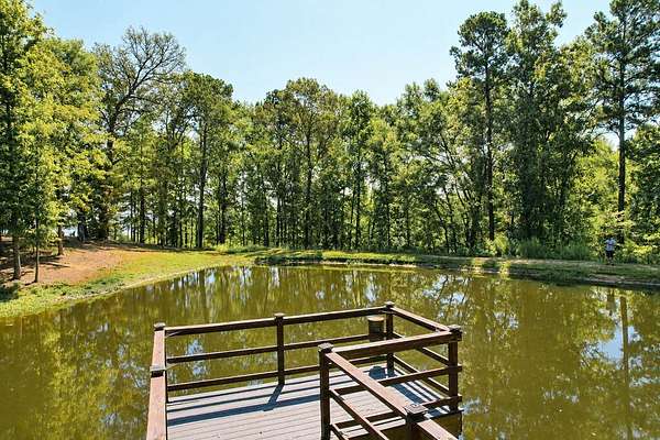 14 Acres of Recreational & Residential Land for Sale in Etoile, Texas