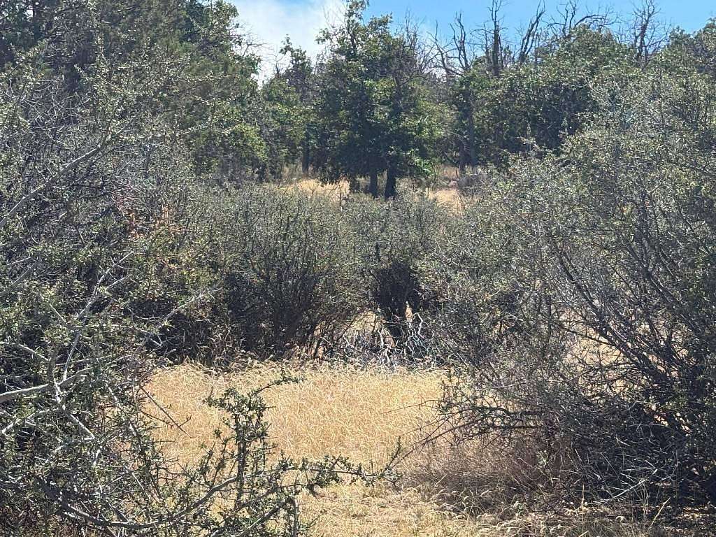2.7 Acres of Land for Sale in Hornbrook, California