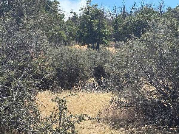 2.7 Acres of Land for Sale in Hornbrook, California