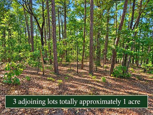 1 Acre of Residential Land for Sale in Hot Springs Village, Arkansas
