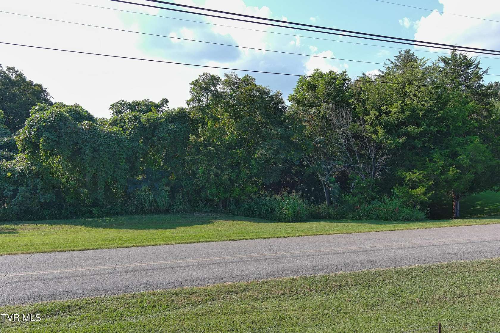 1.16 Acres of Land for Sale in Mosheim, Tennessee
