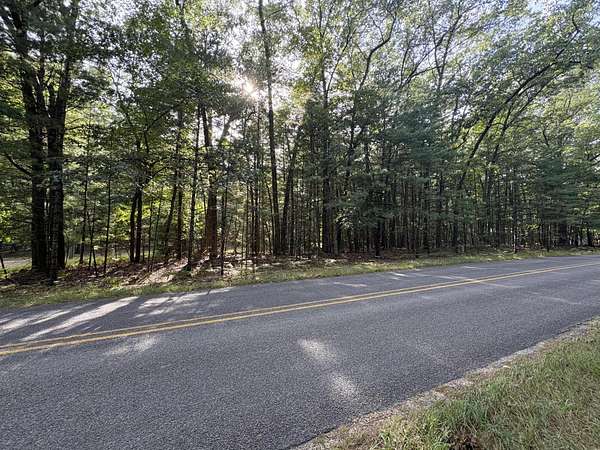 0.95 Acres of Land for Sale in Pentwater, Michigan