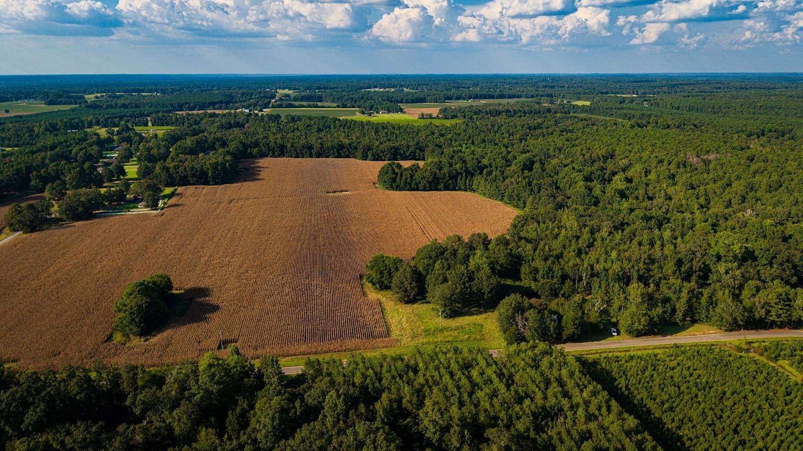 79.9 Acres of Recreational & Residential Land for Sale in Caledonia, Mississippi