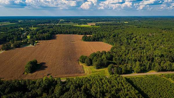 79.9 Acres of Recreational & Residential Land for Sale in Caledonia, Mississippi