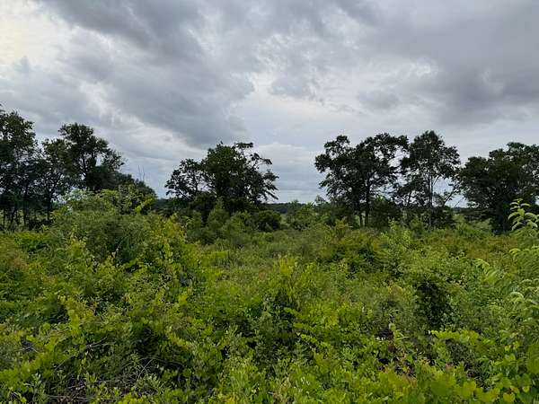 9 Acres of Land for Sale in Slocomb, Alabama