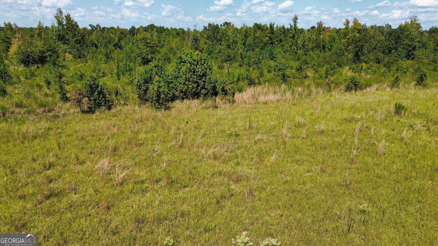 7 Acres of Mixed-Use Land for Sale in Dublin, Georgia