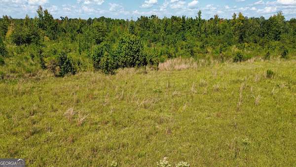 7 Acres of Mixed-Use Land for Sale in Dublin, Georgia