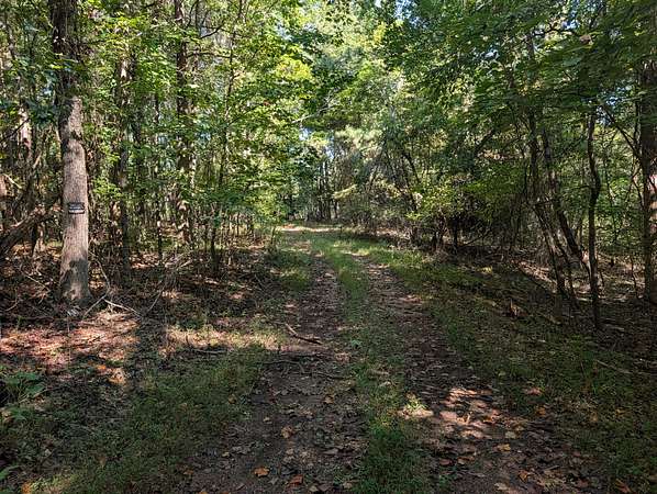 18.7 Acres of Recreational & Residential Land for Sale in Spring City, Tennessee