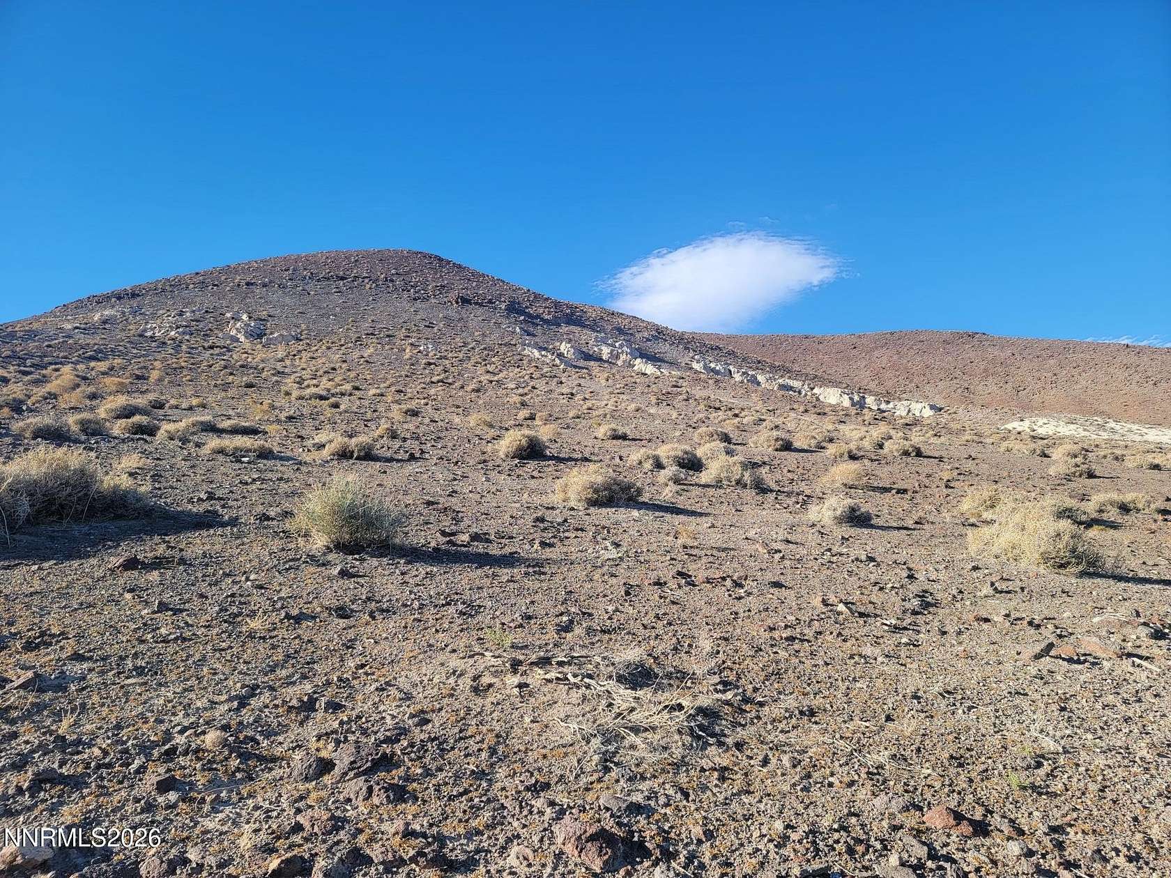 10 Acres of Land for Sale in Silver Springs, Nevada
