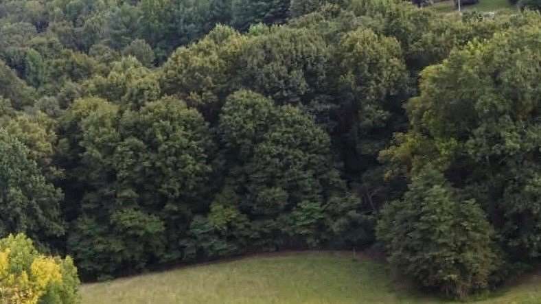 13.5 Acres of Land for Sale in Tell City, Indiana