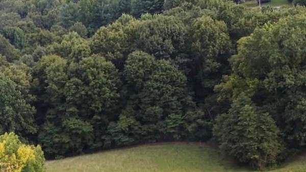 13.5 Acres of Land for Sale in Tell City, Indiana