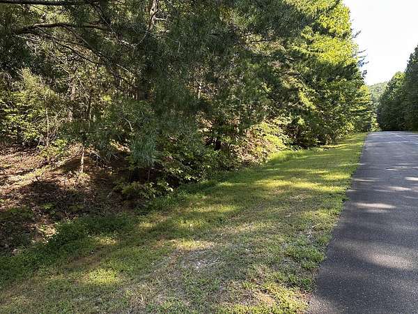 3 Acres of Residential Land for Sale in Ellijay, Georgia