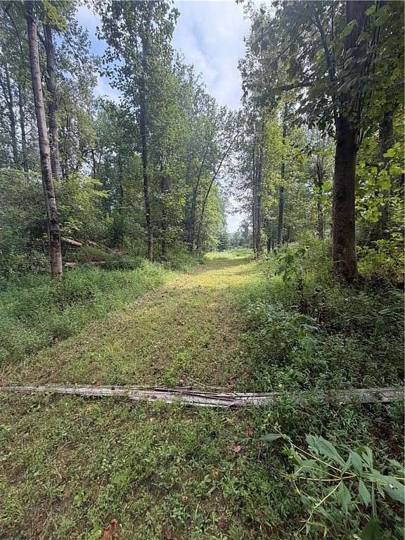 10 Acres of Land for Sale in Seneca, South Carolina