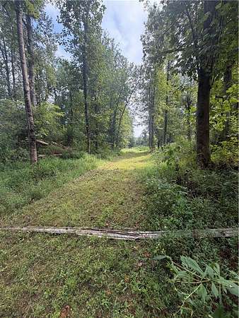 10 Acres of Land for Sale in Seneca, South Carolina