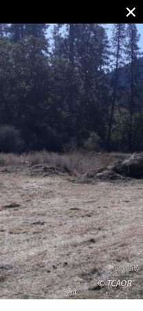 23 Acres of Land for Sale in Hayfork, California