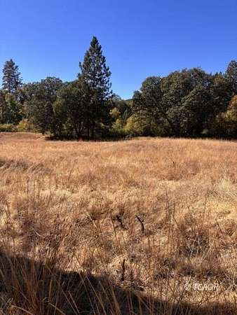 23 Acres of Land for Sale in Hayfork, California
