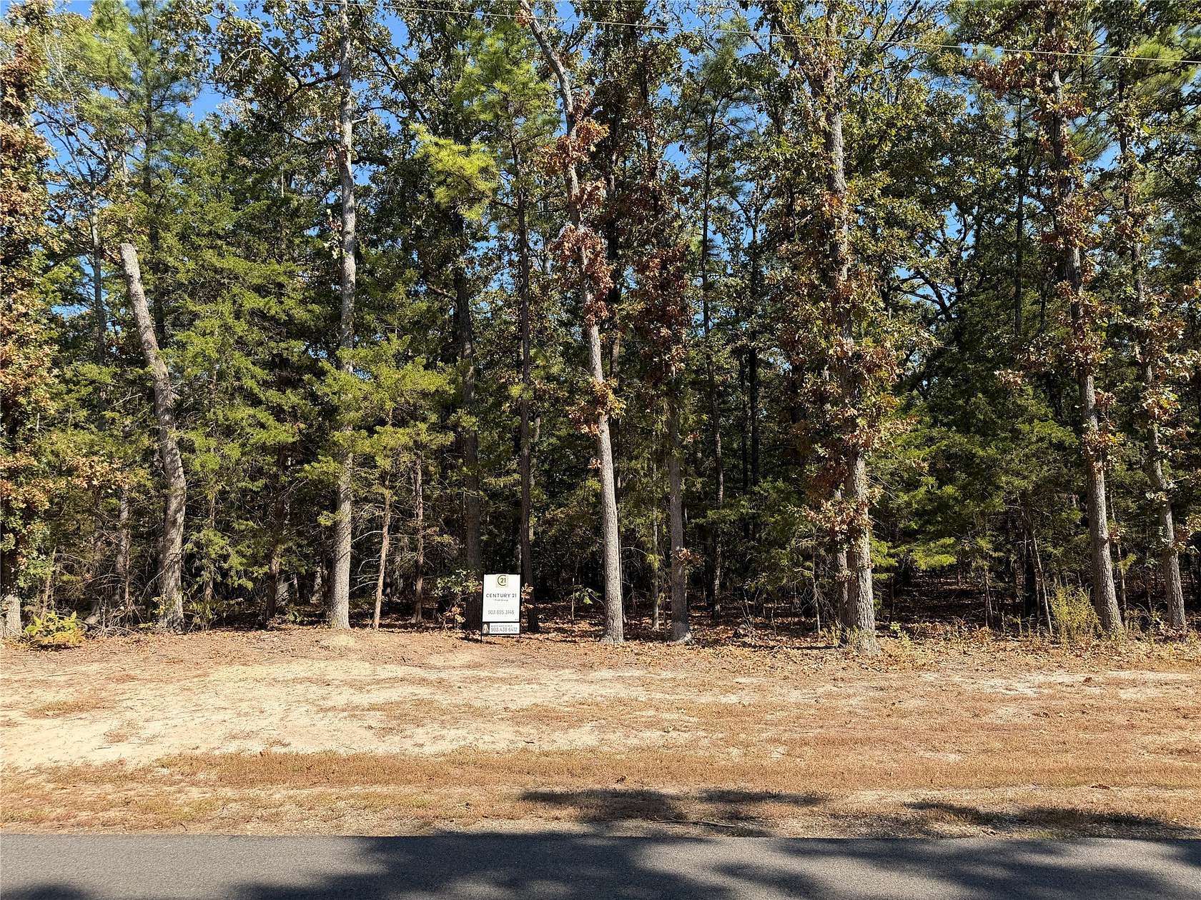 0.34 Acres of Land for Sale in Mount Vernon, Texas