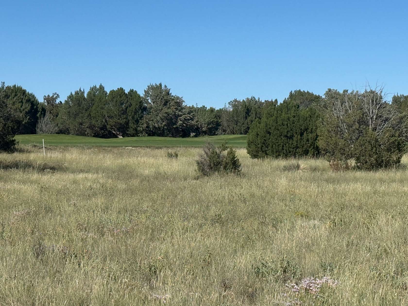 0.51 Acres of Residential Land for Sale in Show Low, Arizona