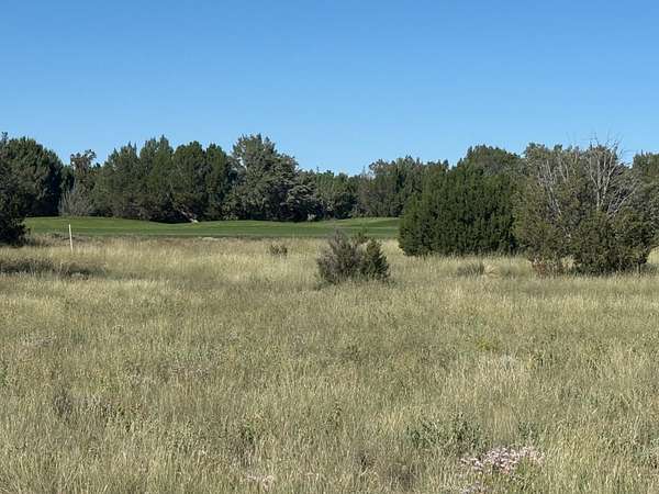 0.51 Acres of Residential Land for Sale in Show Low, Arizona