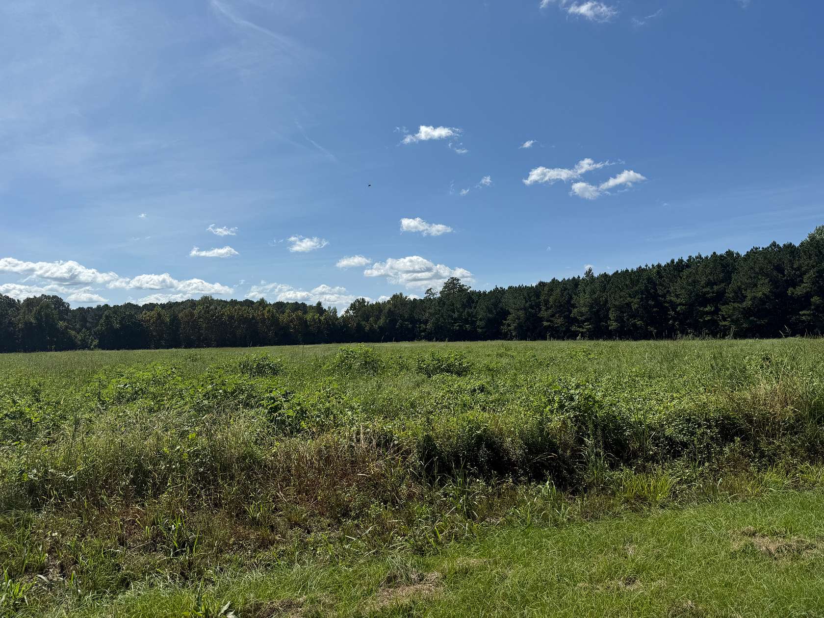 5 Acres of Land for Sale in Chocowinity, North Carolina