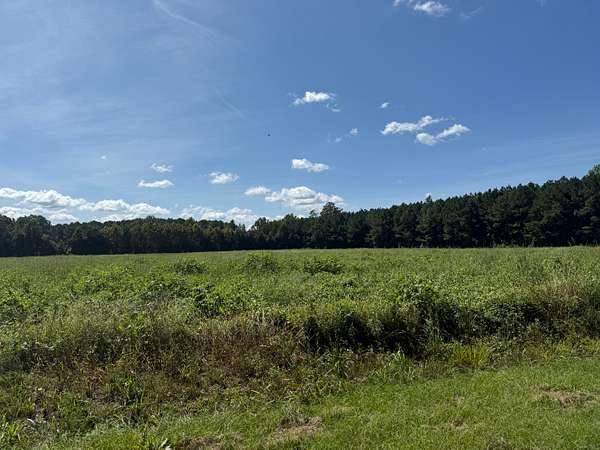 5 Acres of Land for Sale in Chocowinity, North Carolina
