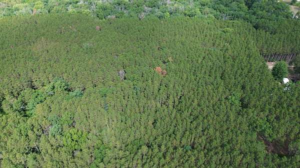 7 Acres of Residential Land for Sale in White Cloud, Michigan