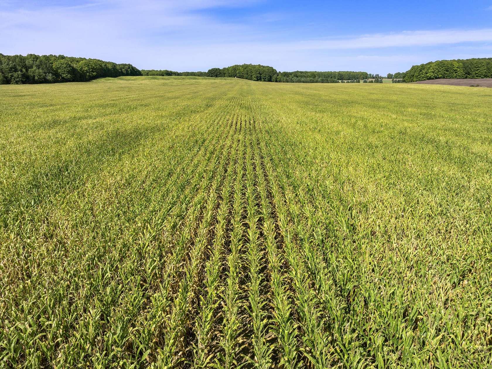80 Acres of Land for Sale in Copemish, Michigan