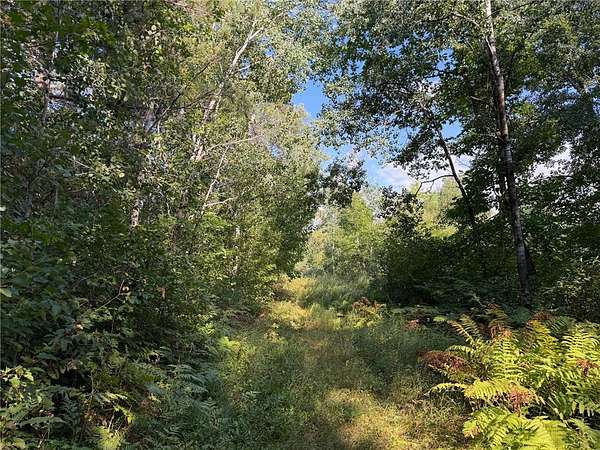 20.4 Acres of Land for Sale in Willow River, Minnesota