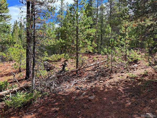 2.5 Acres of Land for Sale in Fort Garland, Colorado