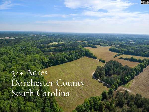34.7 Acres of Agricultural Land for Sale in Reevesville, South Carolina