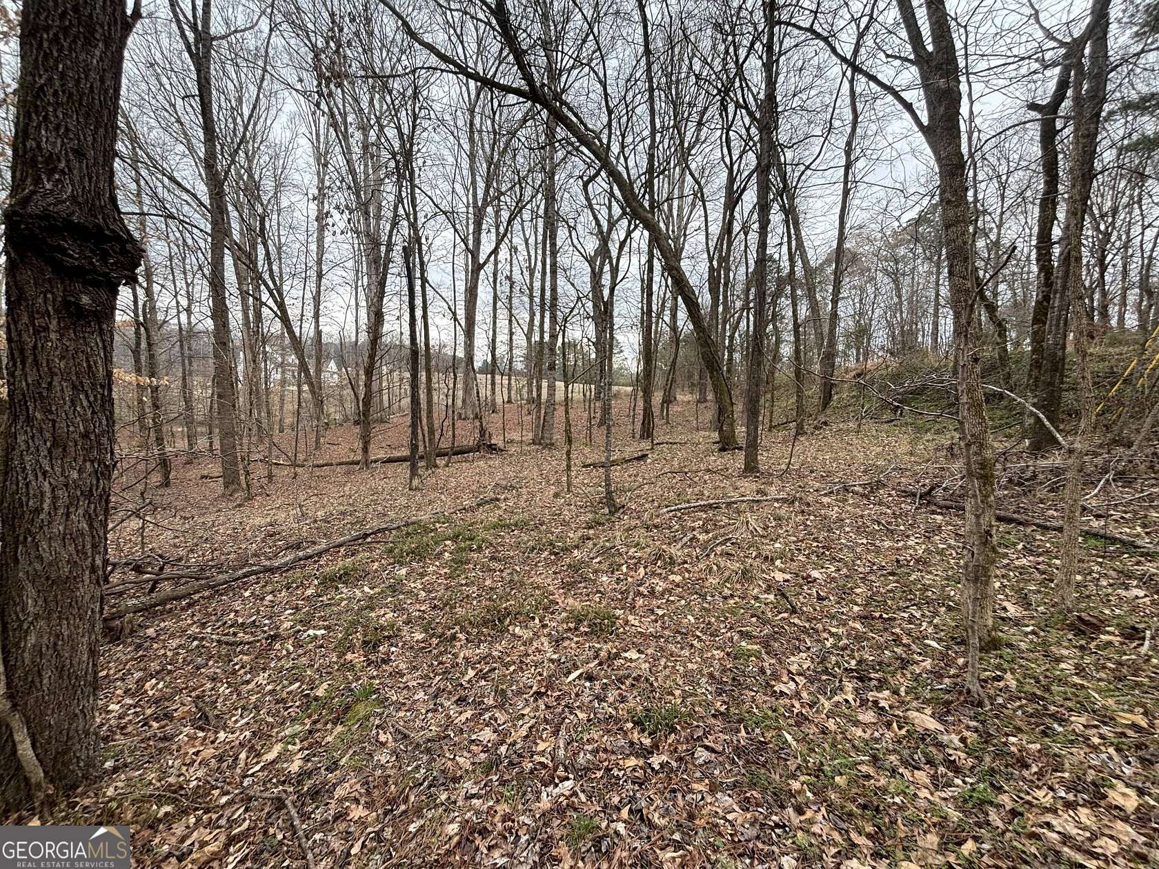 5 Acres of Residential Land for Sale in Buckhead, Georgia